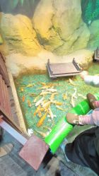 -酷嗒动物文化乐园(cutezoo西溪乐天城店)