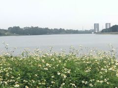 -佛山大学(仙溪校区南区)