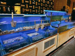 -鲁商铂尔曼大酒店·铂丽自助餐厅