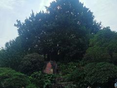 -乌山风景区