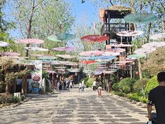 -合肥滨湖国家森林公园