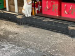 -鸣鹤古镇