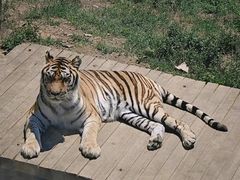 -大连森林动物园