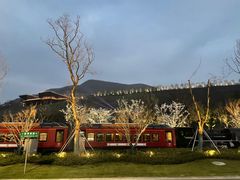 -龙吟九品(园博园店)