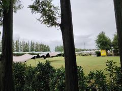 -前小桔亲子创意农场·草莓采摘·露营烧烤