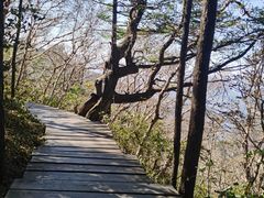 -白草畔自然风景区