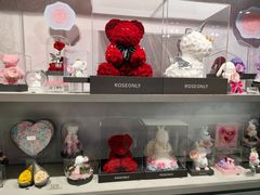 -ROSEONLY诺誓(国际广场购物中心店)