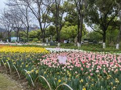 -玄武湖景区-情侣园游乐场