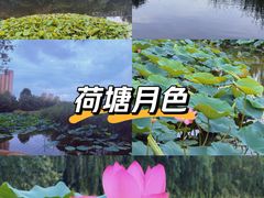 -前关湿地公园