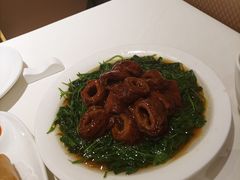 草头圈子-金时代顺风大酒店(金山店)