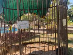 -西双版纳融创皇冠假日度假酒店