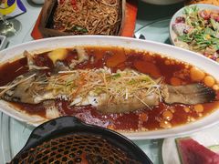 -三强鸽子(中原路店)