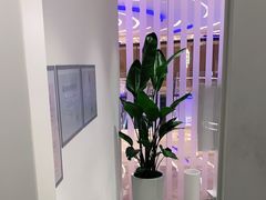 -LANN I 蘭 SPA(陆家嘴中心店)