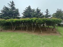 -丁家河公园