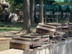 -尚庄度假村·庭台树下·户外烧烤·团建CS·轰趴营地(上庄水库店)