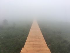 -白草畔自然风景区