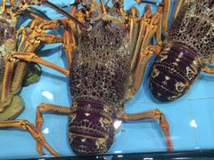 -渔民新村(番禺总店)