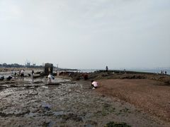 -巨鹏飞梦幻海岸