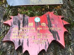 -永州阳明山国家森林公园