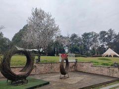 -成都蒲江花样年福朋喜来登度假酒店·宜客乐西餐厅