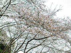 -杭州少年儿童公园