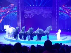 -珠海横琴长隆《卡卡虎奇遇记》