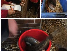 -重庆乌鱼庄·龙滋鲜(青羊大道店)