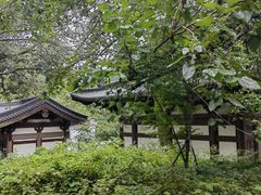 -西湖风景区十里琅珰-五云山