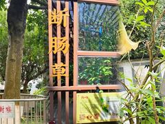 -广州神农草堂中医药博物馆