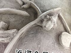 -泗洪县文化艺术中心