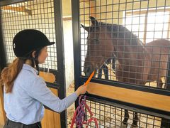 -北京群众马术培训基地