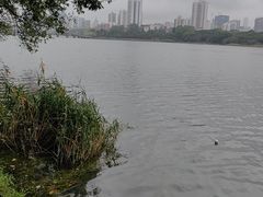 -南宁南湖公园
