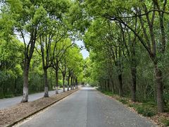 -上海海湾国家森林公园