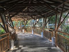 -海口观澜湖火山温泉谷