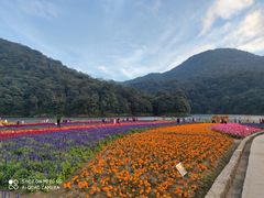 -广州市石门国家森林公园