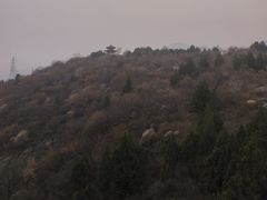 -白水寺森林公园