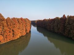 -上海海湾国家森林公园