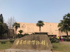 -自贡恐龙博物馆