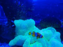 -沈阳海洋探索中心