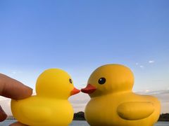 -深圳人才公园