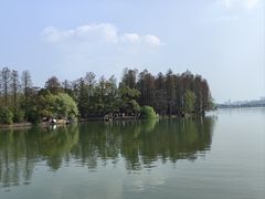 -东湖落雁景区