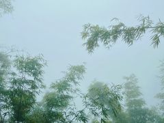 -蜀南竹海景区