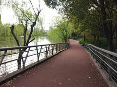 -陆家嘴金融服务广场