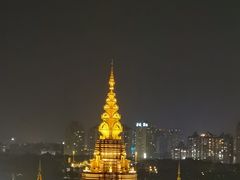 -西双版纳原始森林公园