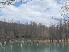 -青池