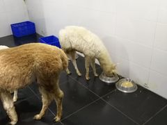 -重庆欢乐海底世界