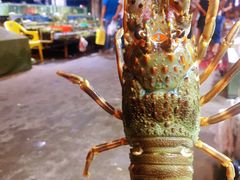 -无锡天鹏食品城