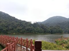 -广州市石门国家森林公园