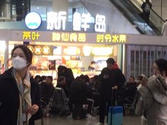 -新鲜岛