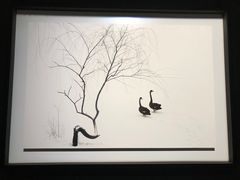 -罗红摄影艺术馆